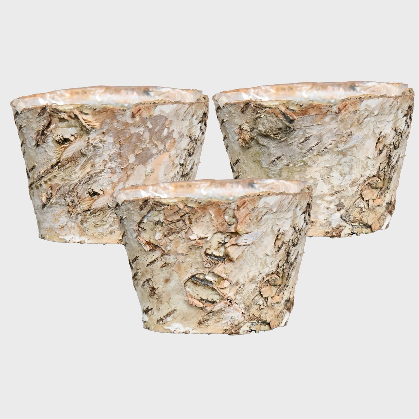 3er Set Birkentöpfchen 11cm