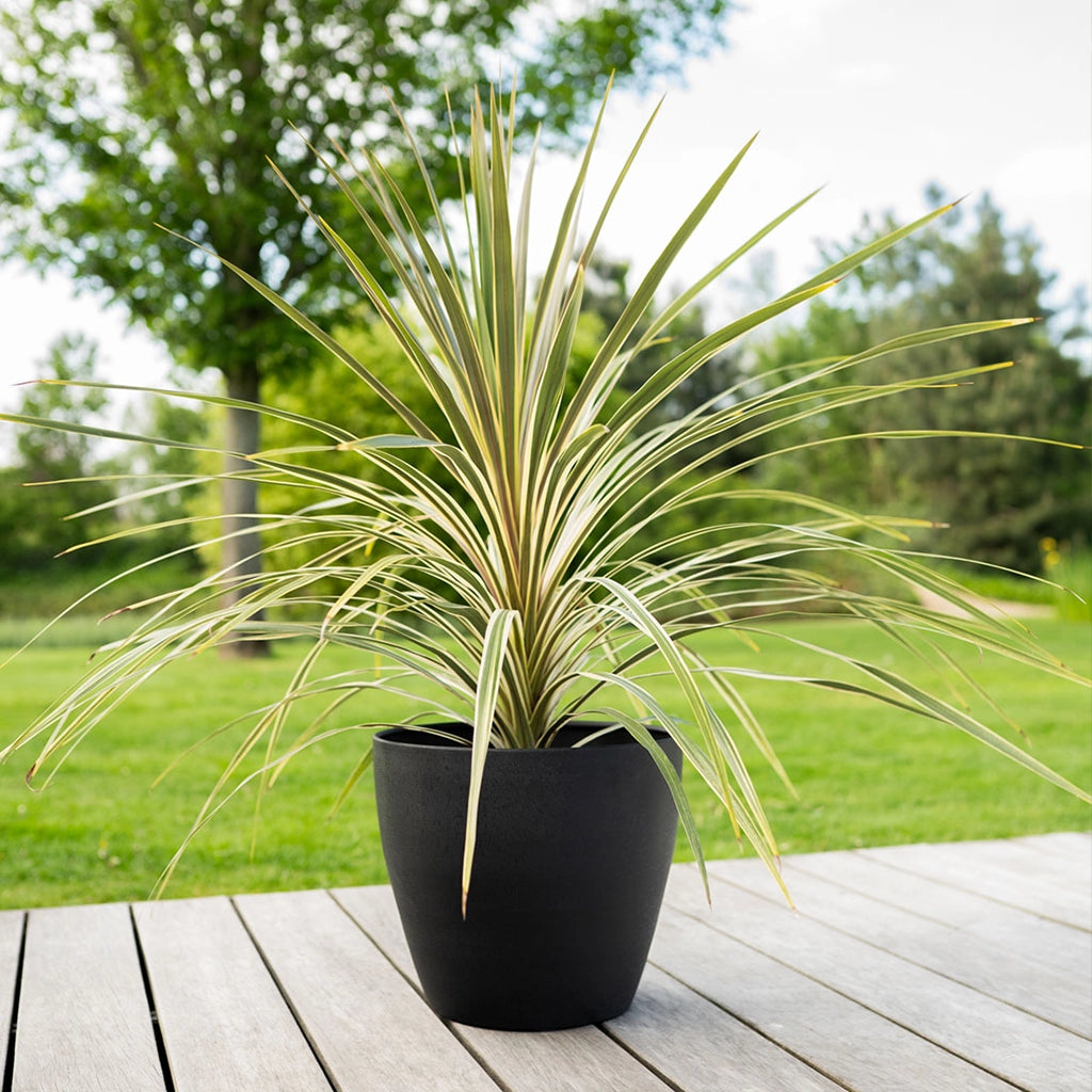 6er Übertopfset Outdoor Alisa Mattschwarz