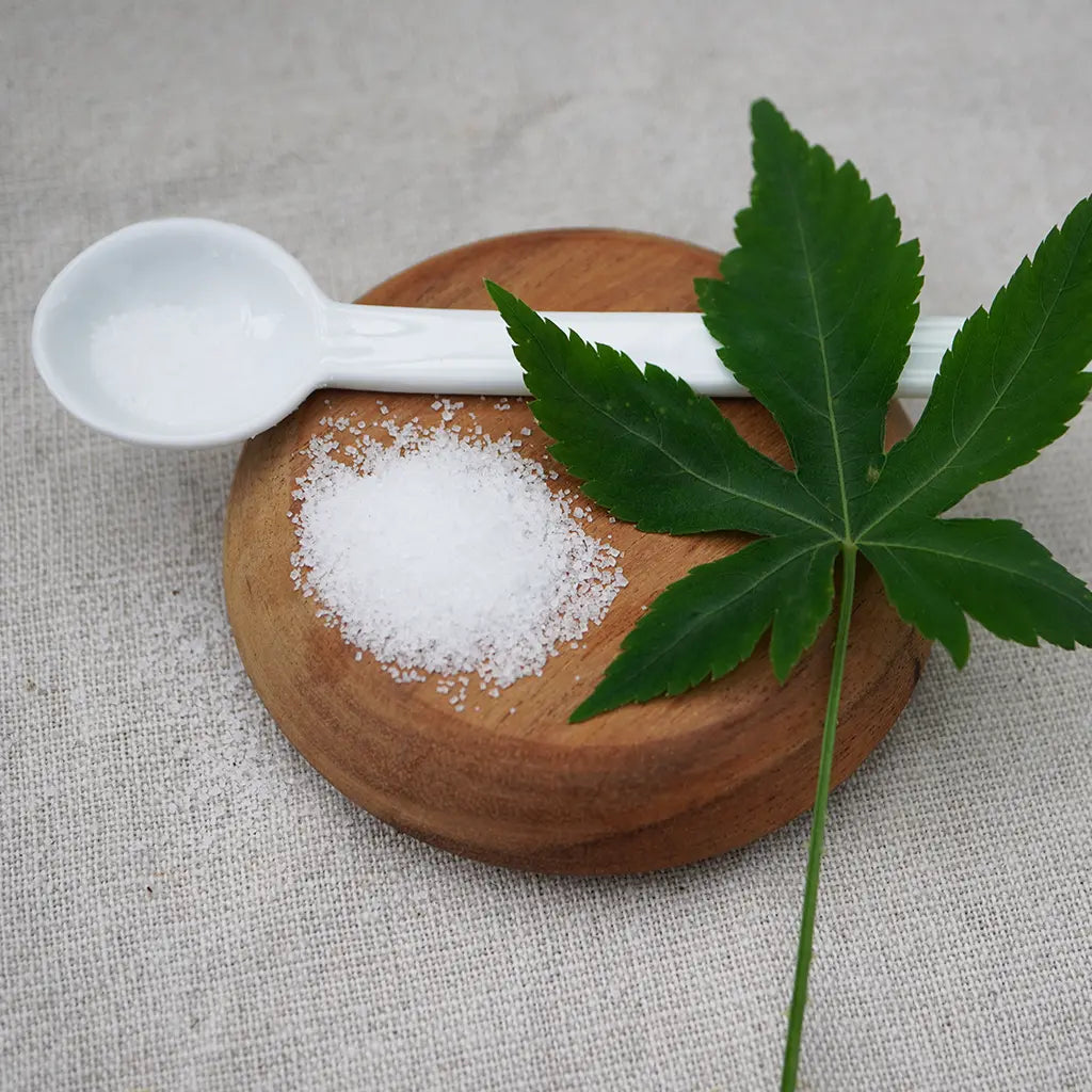 Bio Cannabis Zuckerstrauch