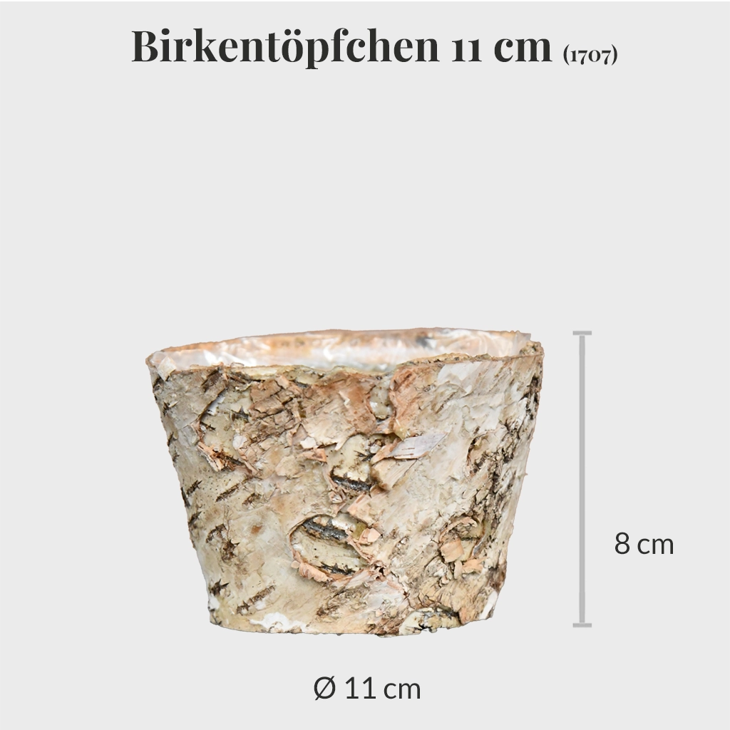 3er Set Birkentöpfchen 11cm