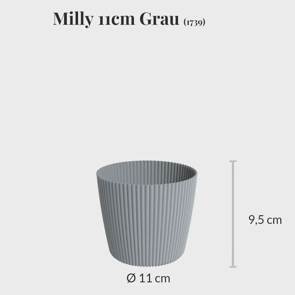 Milly 11cm