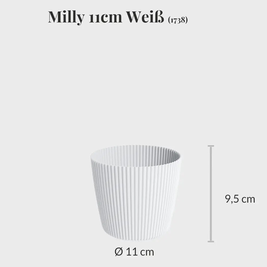 Milly 11cm