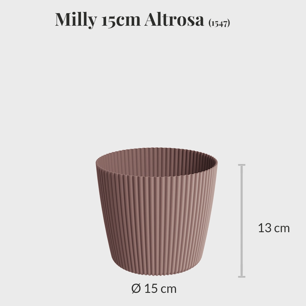 Milly 15cm