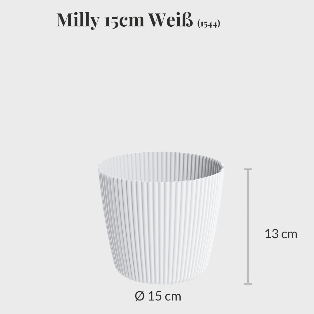 Milly 15cm