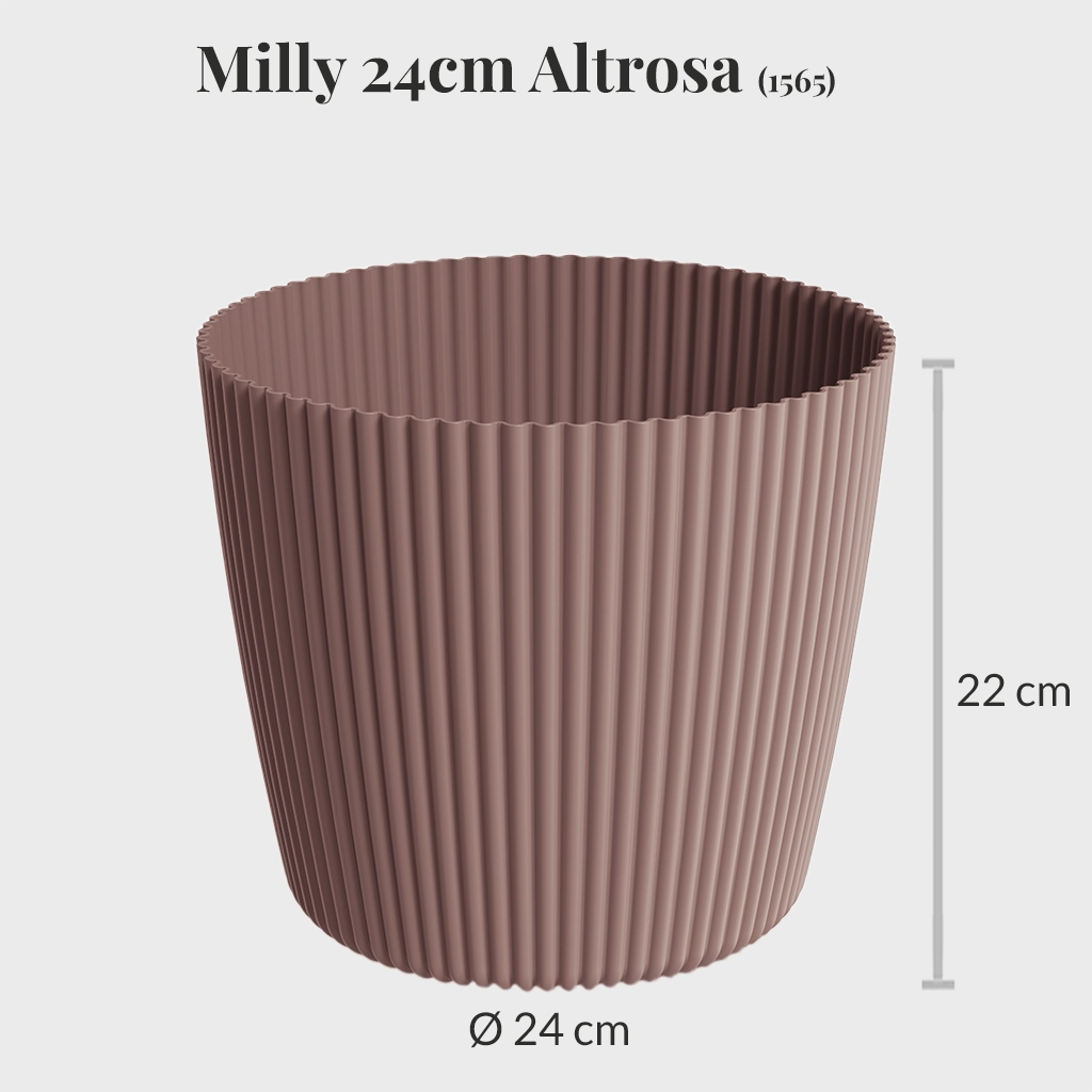 Milly 24cm