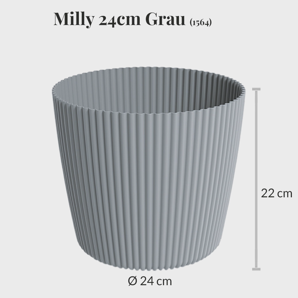 Milly 24cm