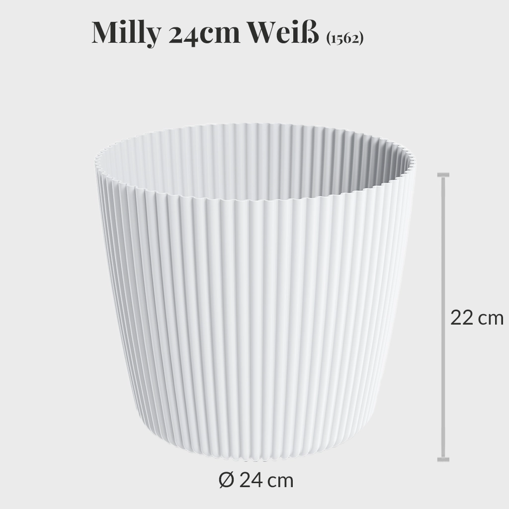Milly 24cm