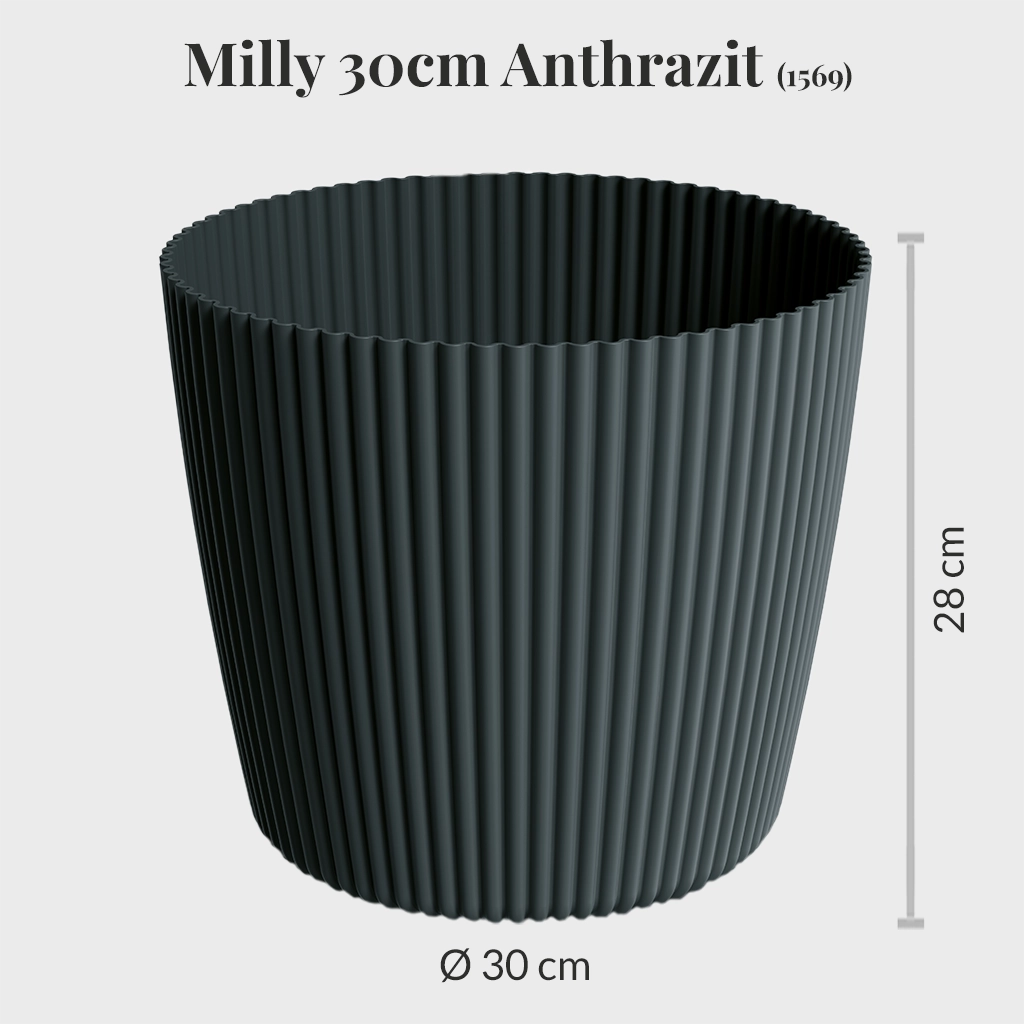 6er Übertopfset 6XXL Milly 30cm