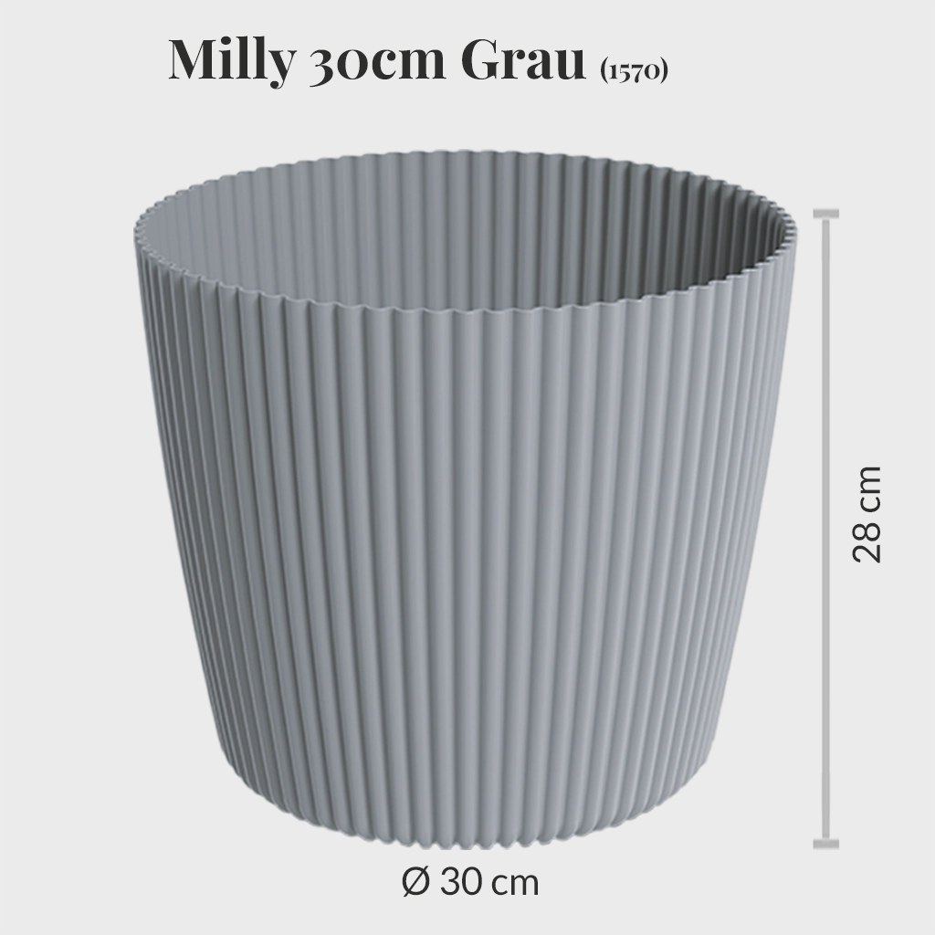 6er Übertopfset 6XXL Milly 30cm