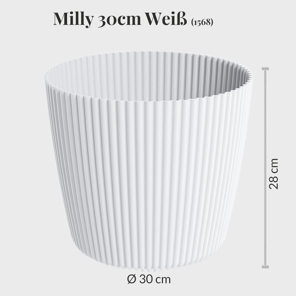 6er Übertopfset 6XXL Milly 30cm