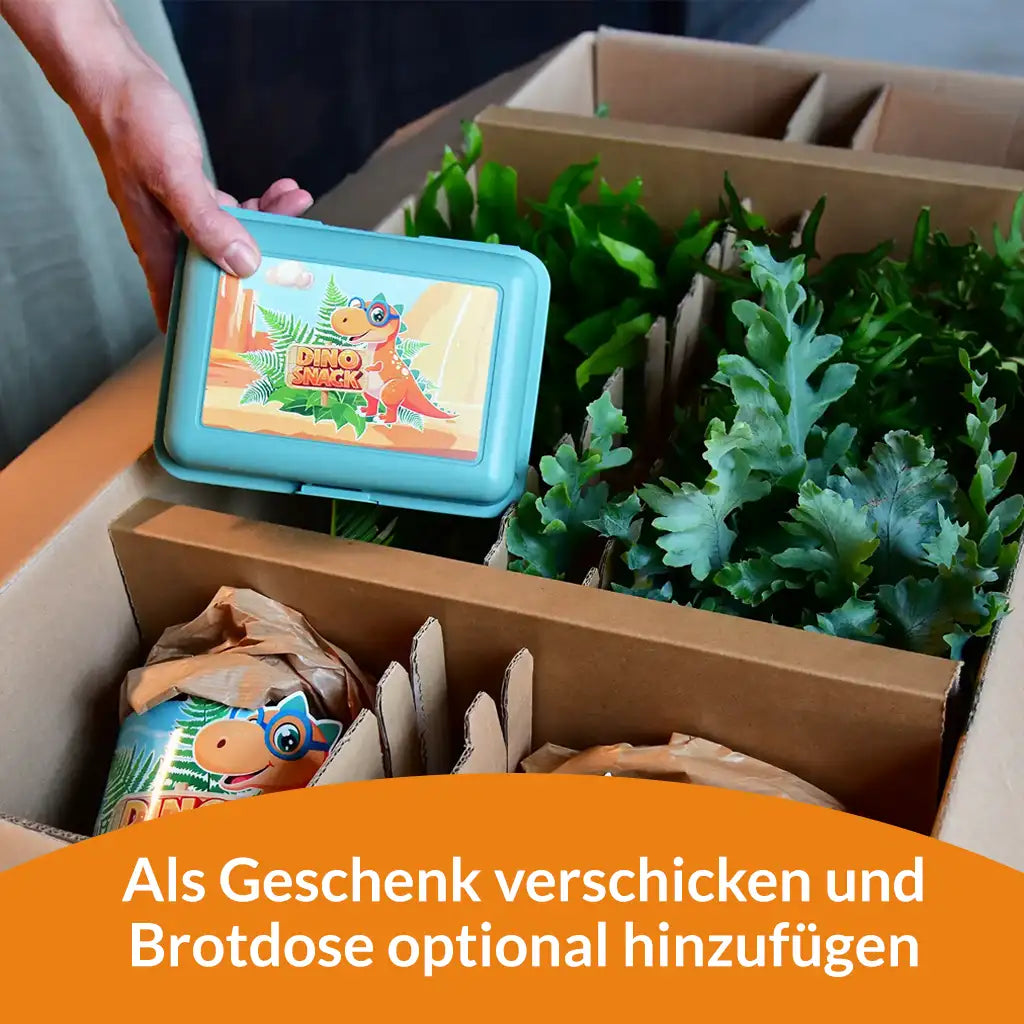 Mix & Match DinoSnack® Pflanzenset
