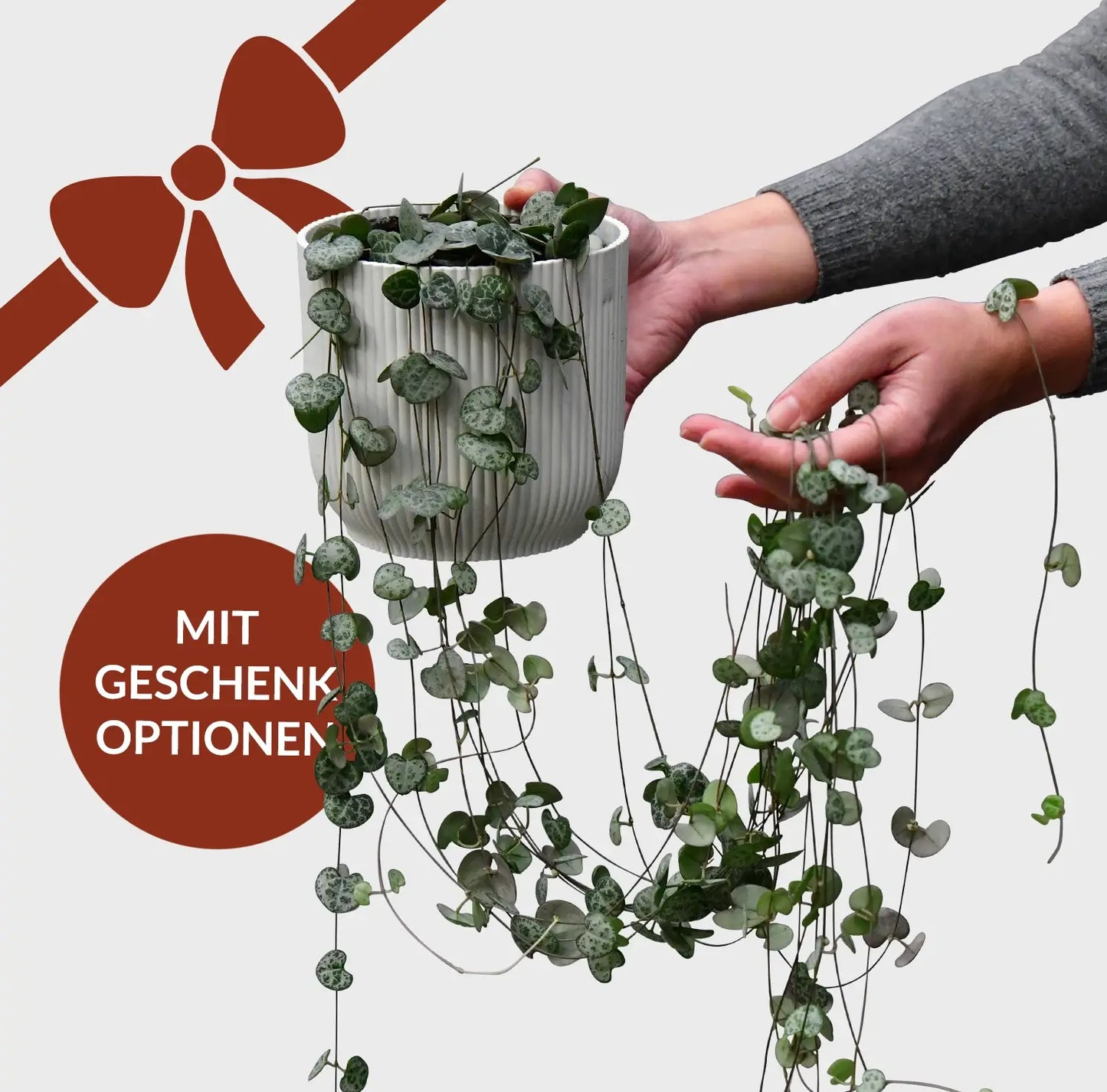 Geschenkset String of Hearts