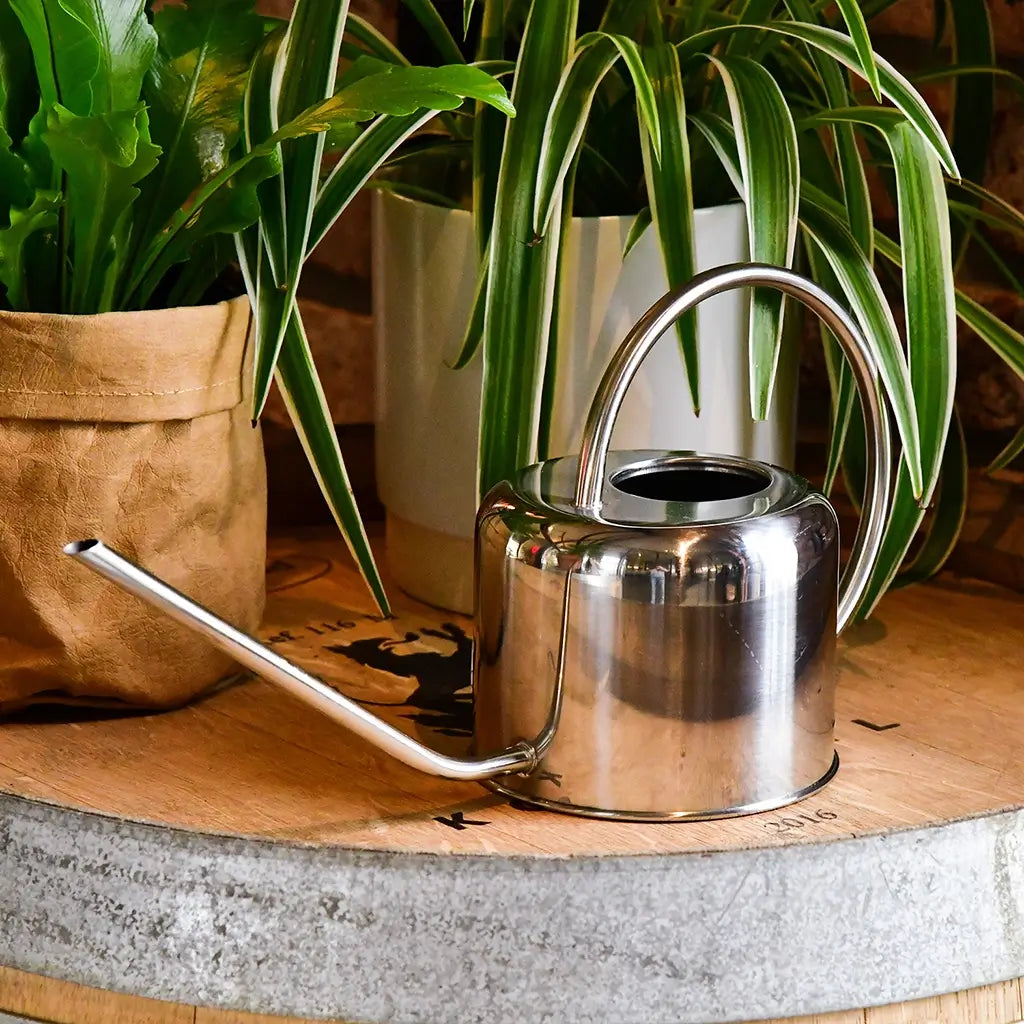 Gießkanne für Zimmerpflanzen 1L