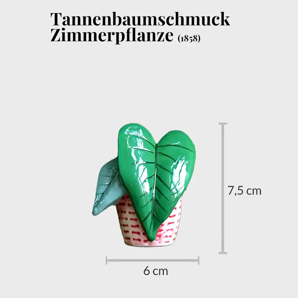 Green Week Geschenk: Tannenbaumschmuck Zimmerpflanze