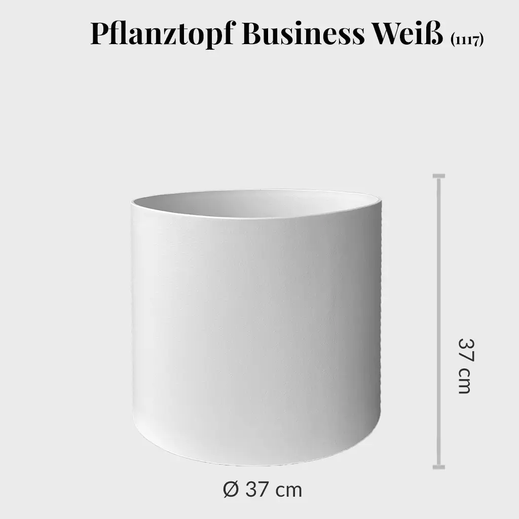 Pflanzgefäß mit Rollen für Pflanzen zum bepflanzen in Weiß