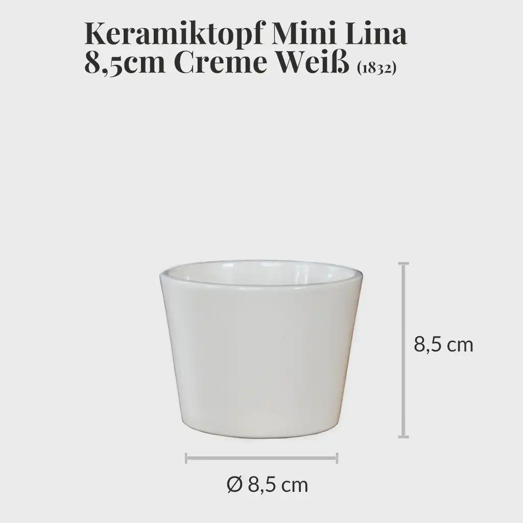 3er Set Keramiktopf Mini Lina 10cm Creme Weiß