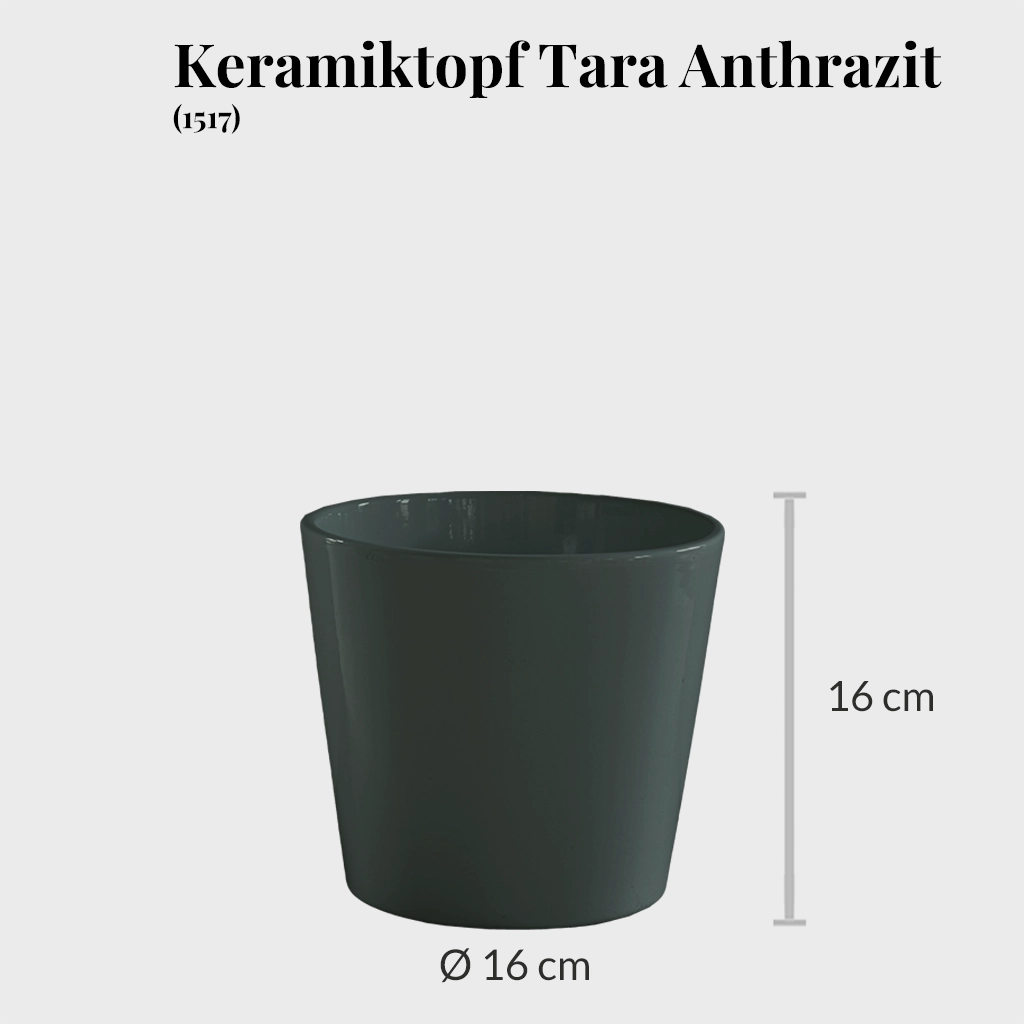 16er Übertopfset Keramik Anthrazit