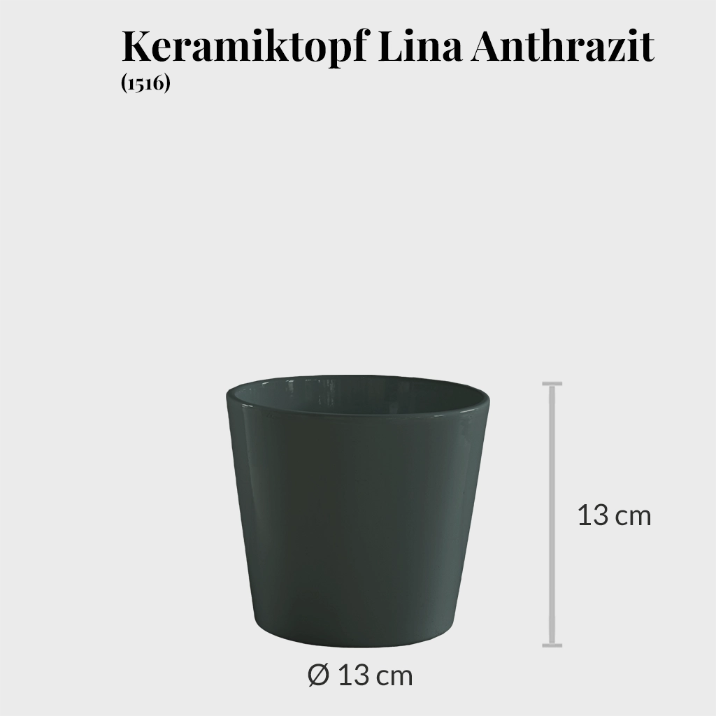 6er Übertopfset 2L 4S Anthrazit