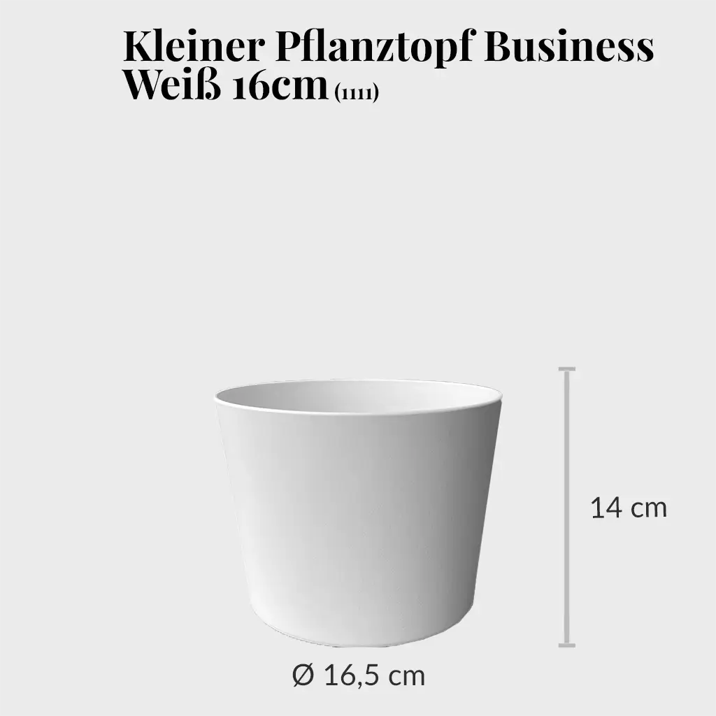 Kleiner Übertopf für Pflanzen in Büros in Weiß