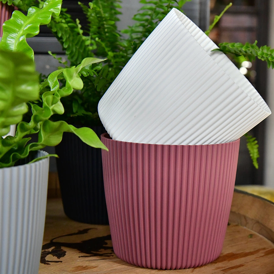 Milly 15cm
