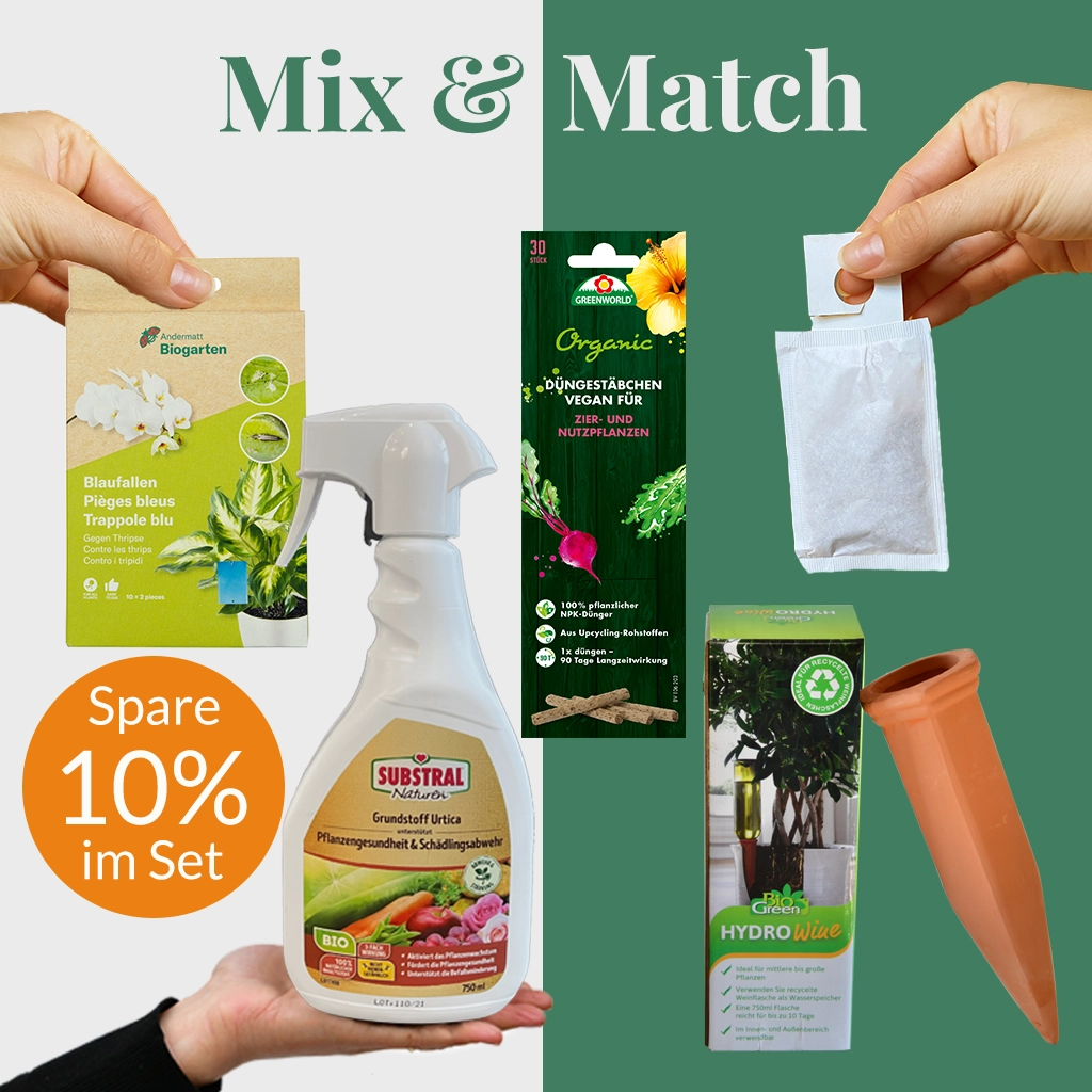 Mix & Match Sommer Pflanzen-Pflegeset