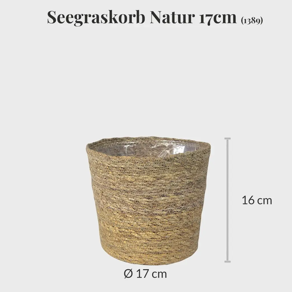 4er Übertopfset 2L 1M 1S Seegras