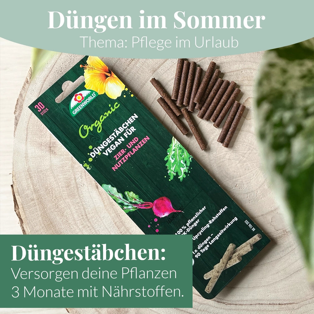 Mix & Match Sommer Pflanzen-Pflegeset