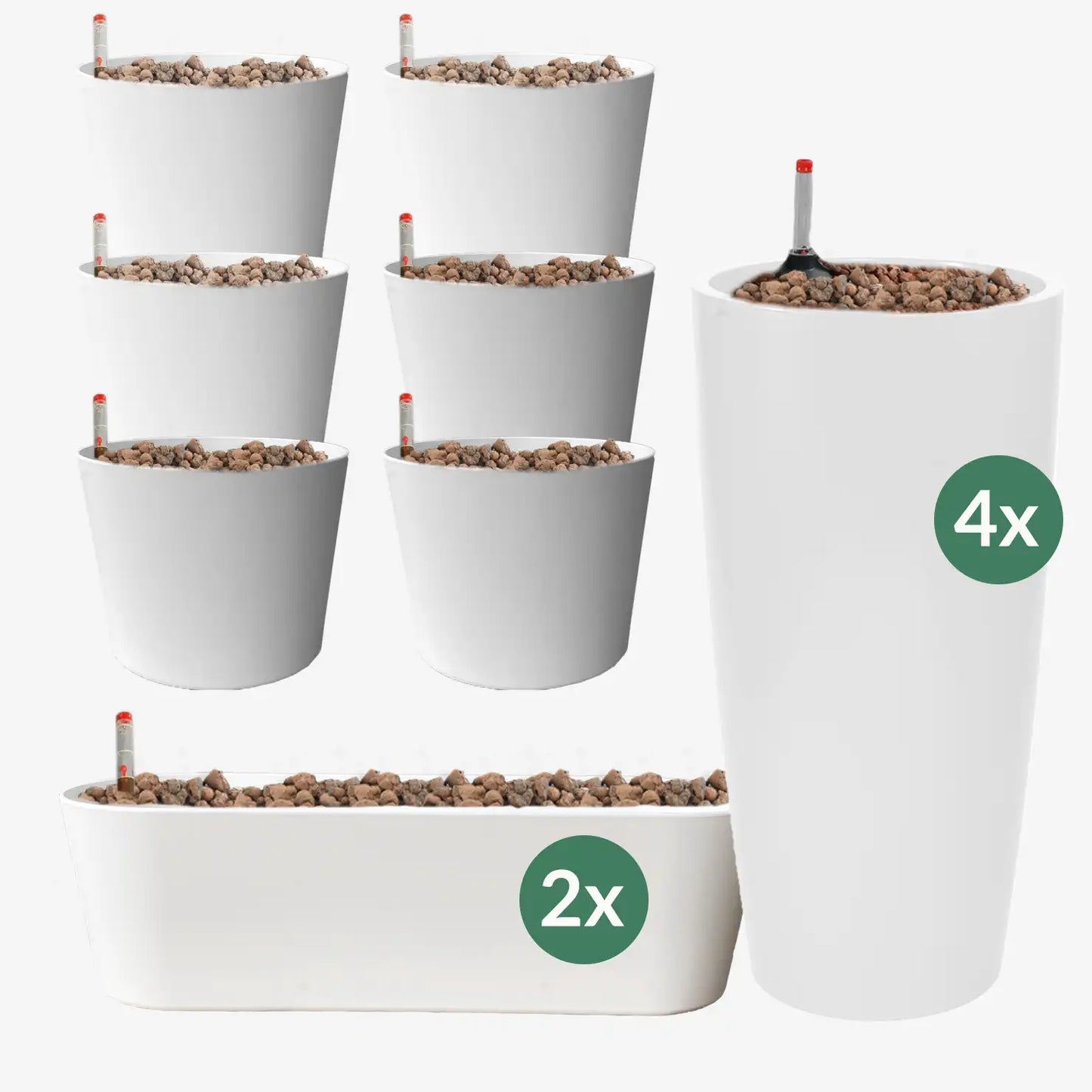 Palettenset Classico : 16 Büropflanzen in Hydrokultur