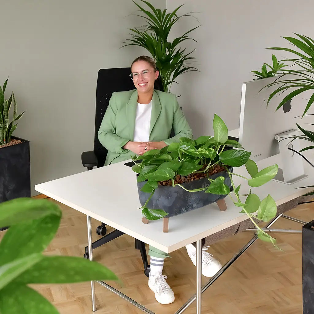 Mitarbeiterin grünes Büro mit Pflanzen, glücklich mit Pflanzen, Hydrokultur, pflegeleicht, luftreinigend