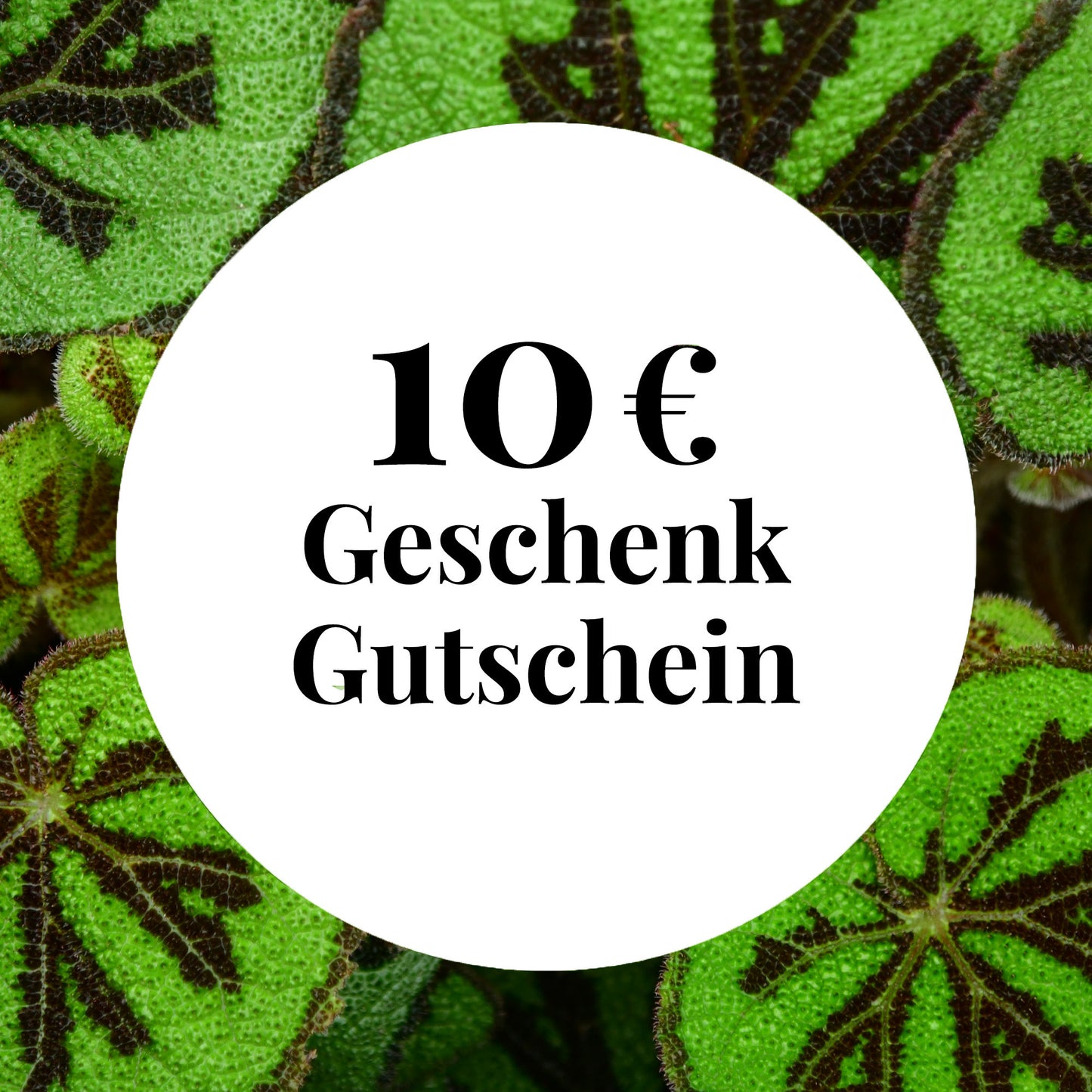 Green Me Up Geschenk Gutschein zum Drucken