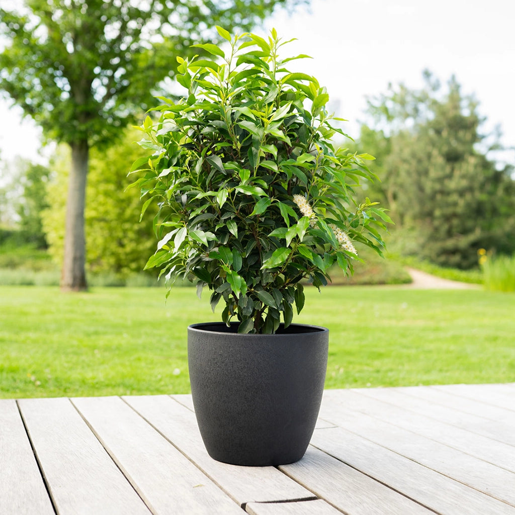 6er Übertopfset Outdoor Alisa Mattschwarz