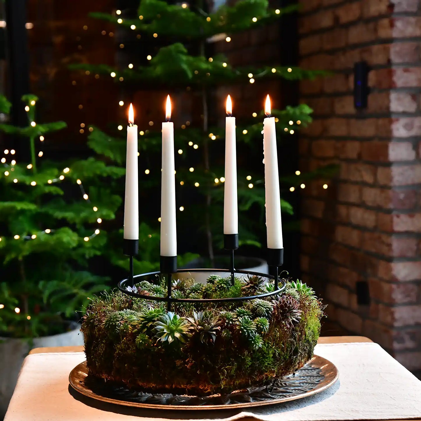 Adventskranz aus Moos und Sukkulenten Ø 35cm