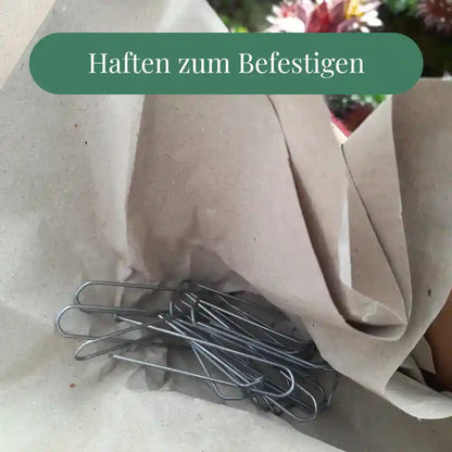 Auffrischungsset Sukkulentenkranz
