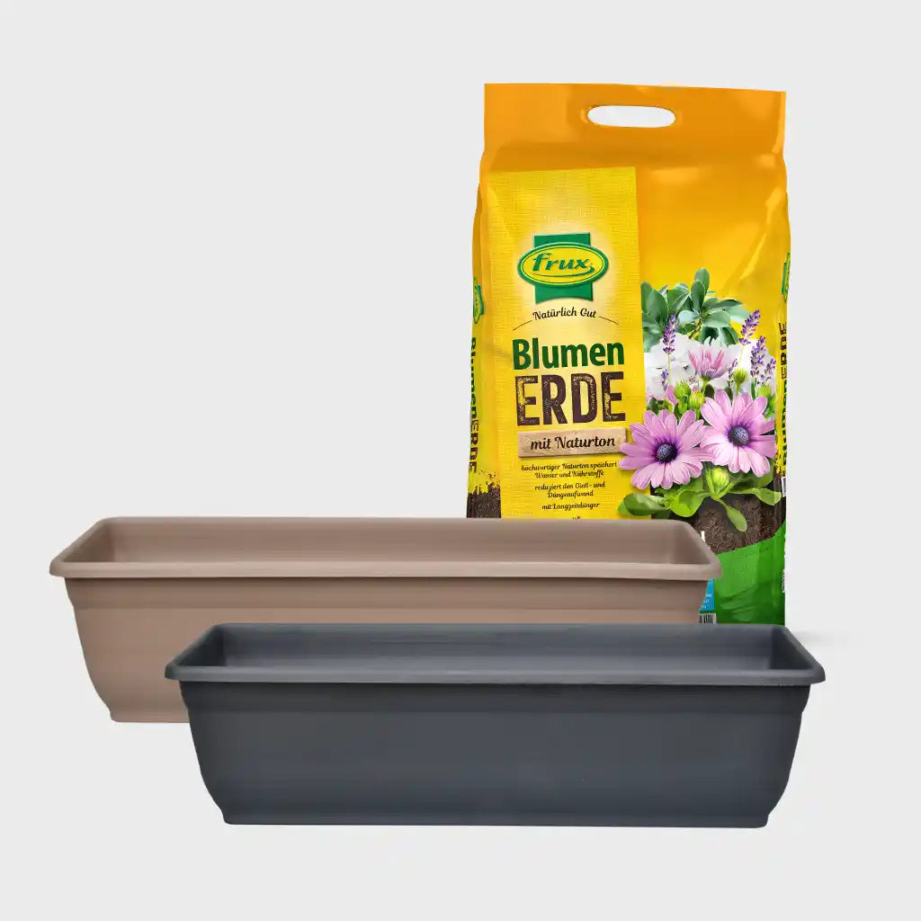 Balkonkasten Set Bunte Bienenweide