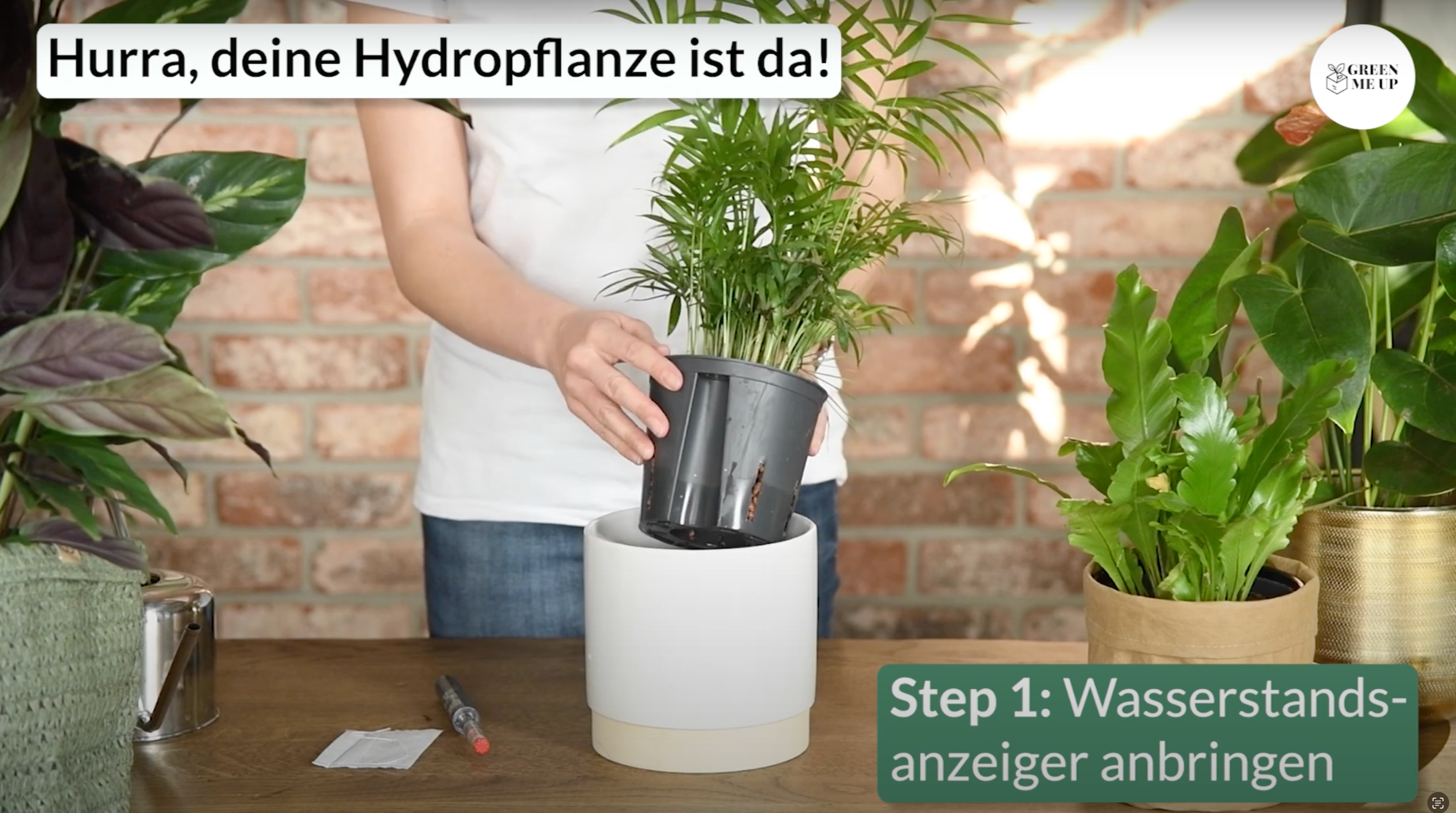 Video laden: Video zur Ankunft deiner Hydropflanzen