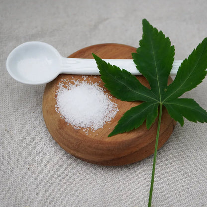 Bio Cannabis Zuckerstrauch