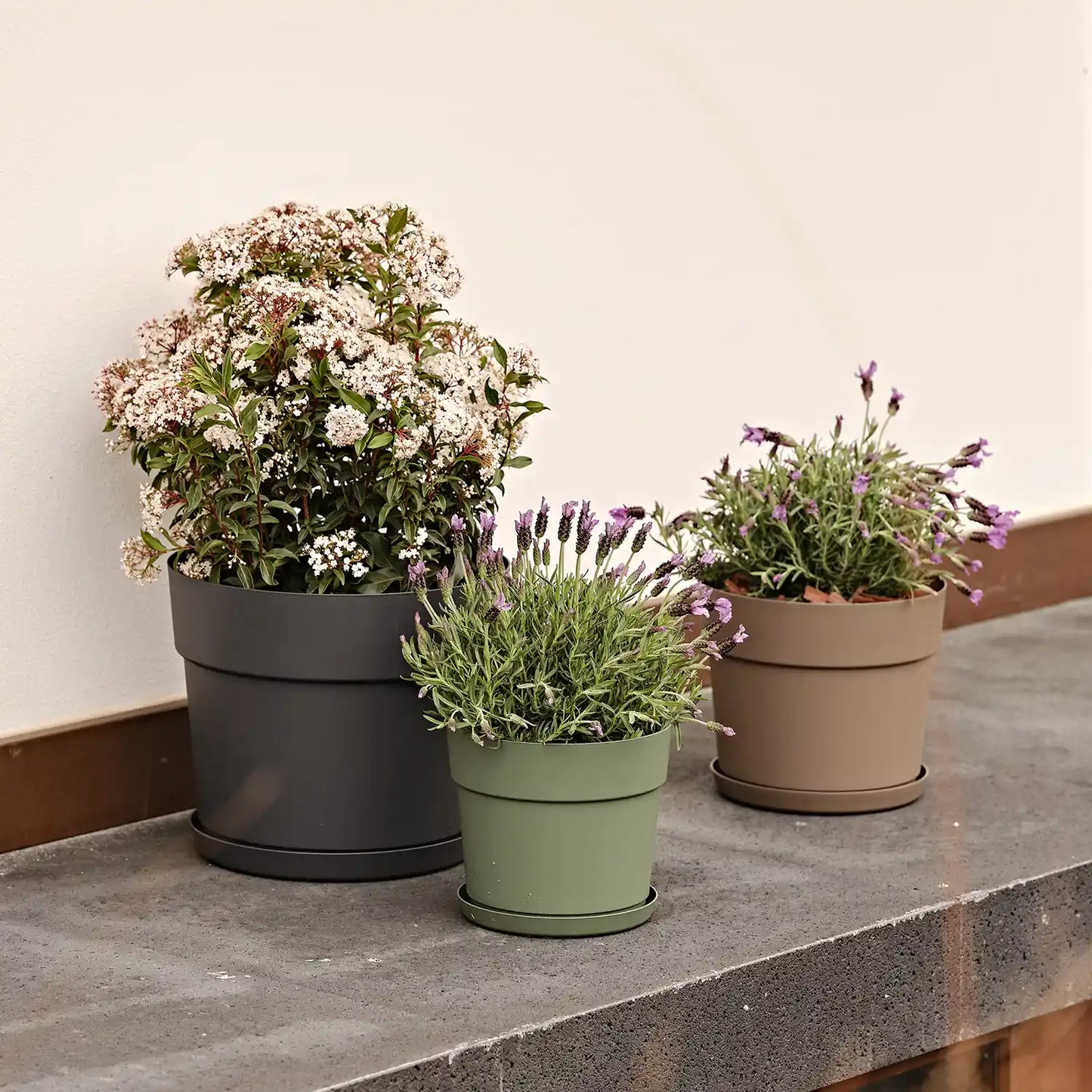 6er Übertopfset 2L 4S Outdoor Anthrazit