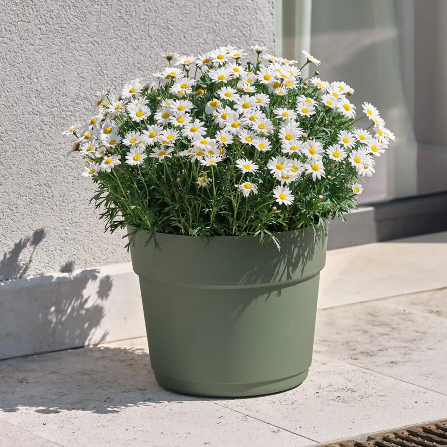 Bloom Pflanztopf 16cm