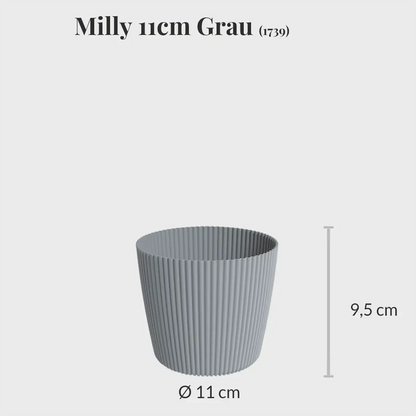 Milly 11cm