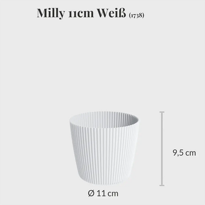 Milly 11cm