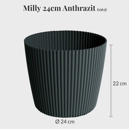 10er Übertopfset 4XXL 6L Milly