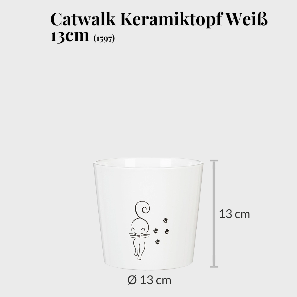 3er Übertopfset 3S Catwalk & Catview