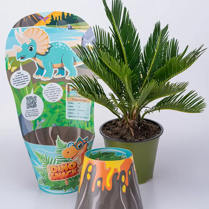 Mix & Match DinoSnack® Pflanzenset