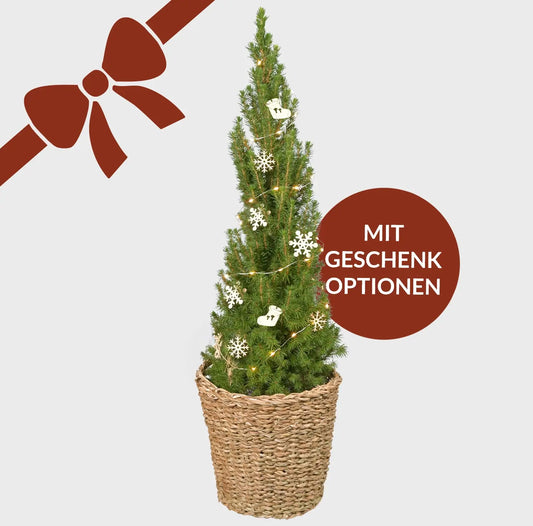 Geschenkset Weihnachtsbaum für Kunden