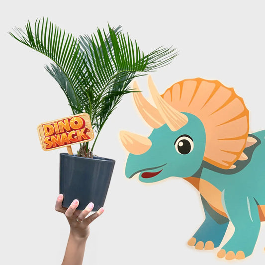 DinoSnack® Timo´s Palmfarn