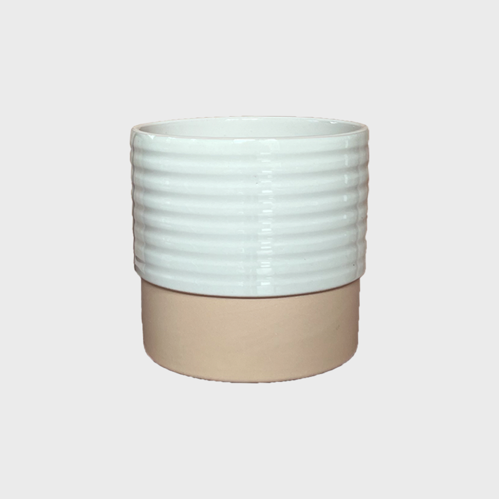 Eno Wave 13cm