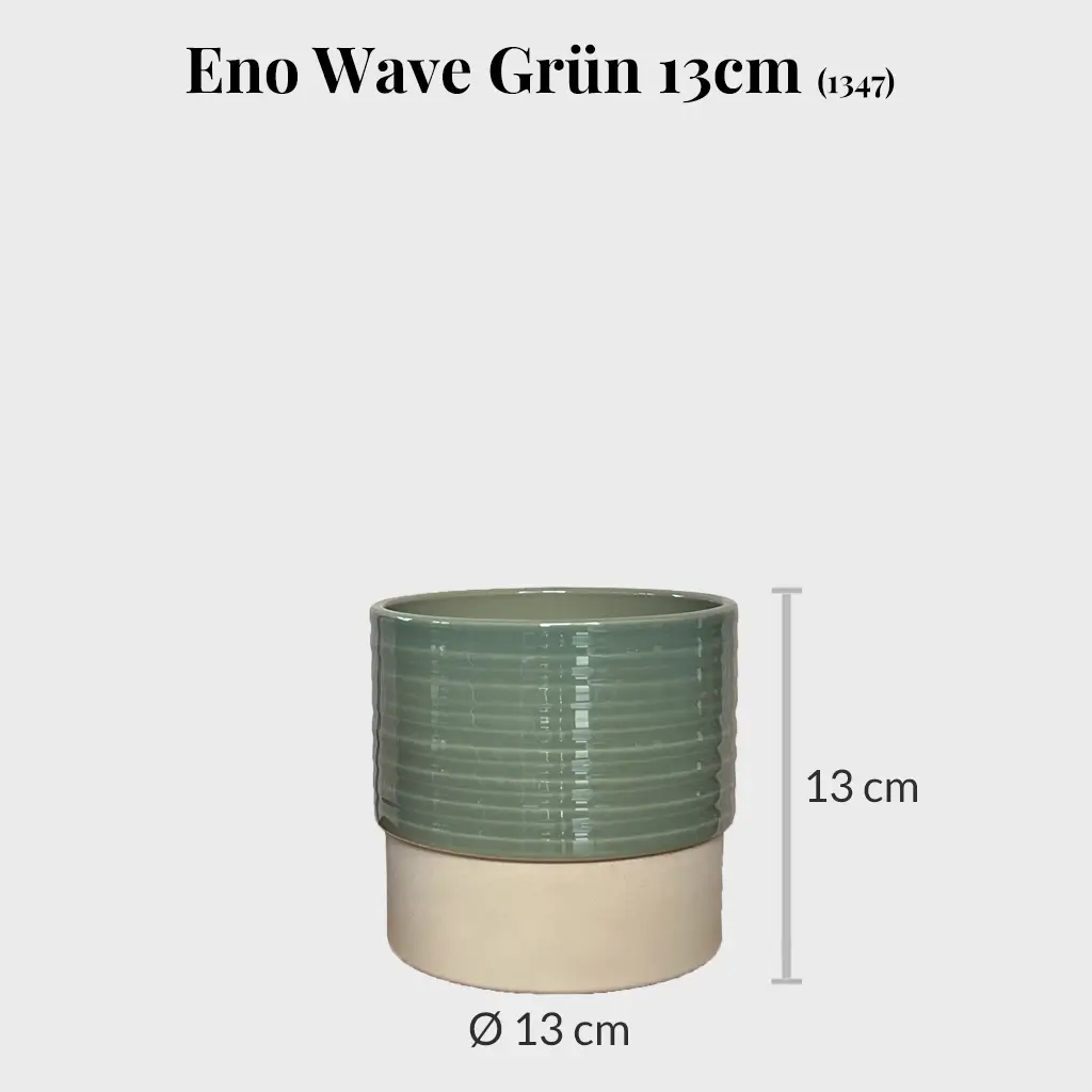 Eno Wave 13cm