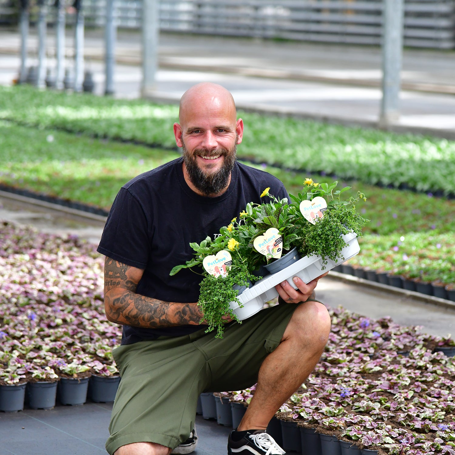 Futterpflanzen Petlove vom Gärtner in Deutschland Produziert