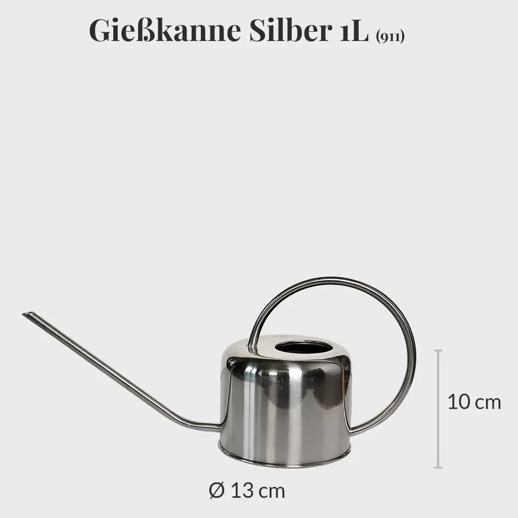 Gießkanne Silber 1L