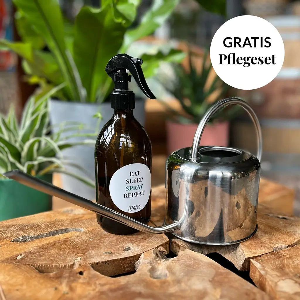 Pflegeset mit Gießkanne und Sprühflasche